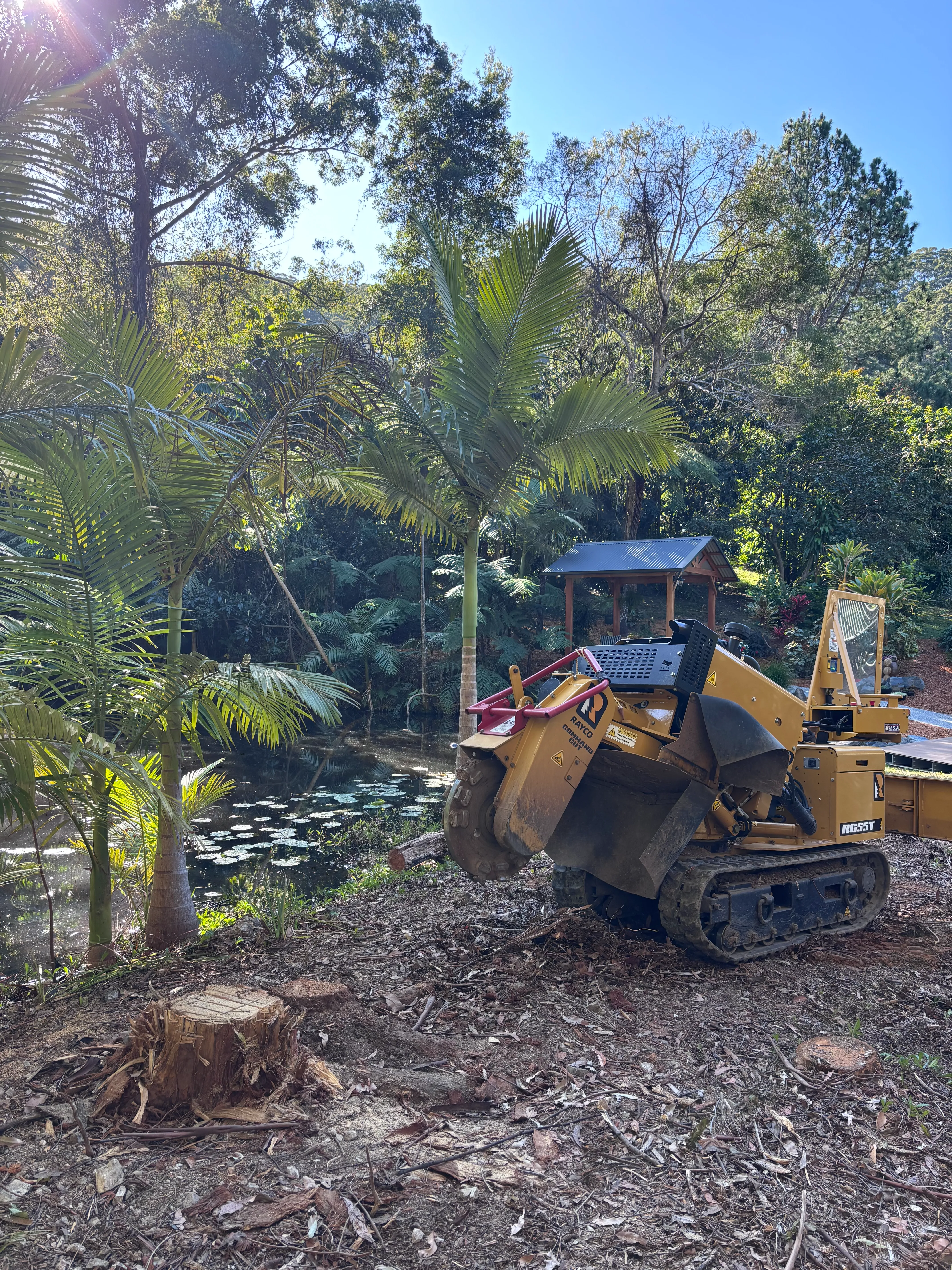 Stump grinder working beside a garden pond, surrounded by palms and dense greenery