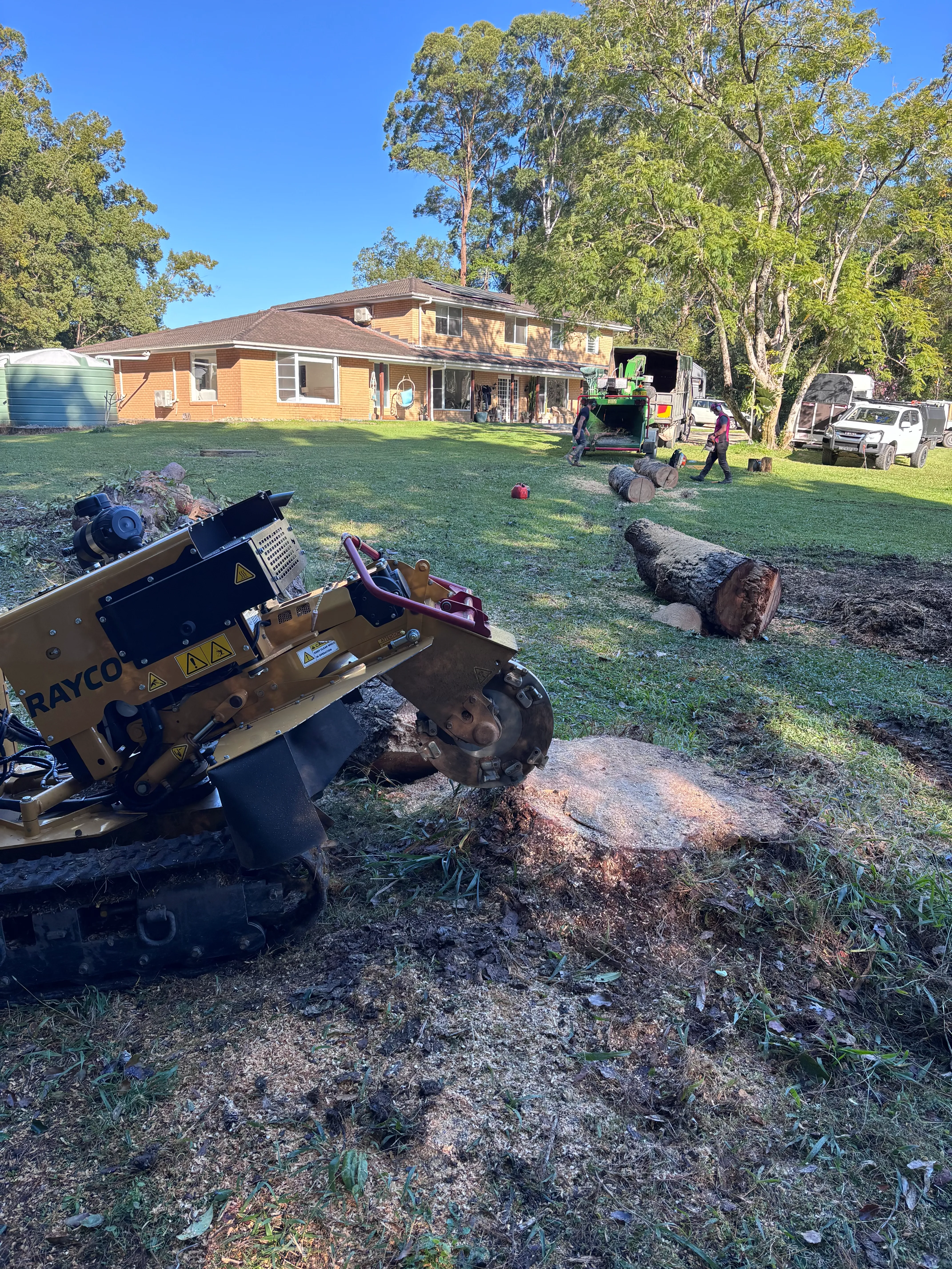 Stump grinder working in a suburban front yard with a two-storey house in the background