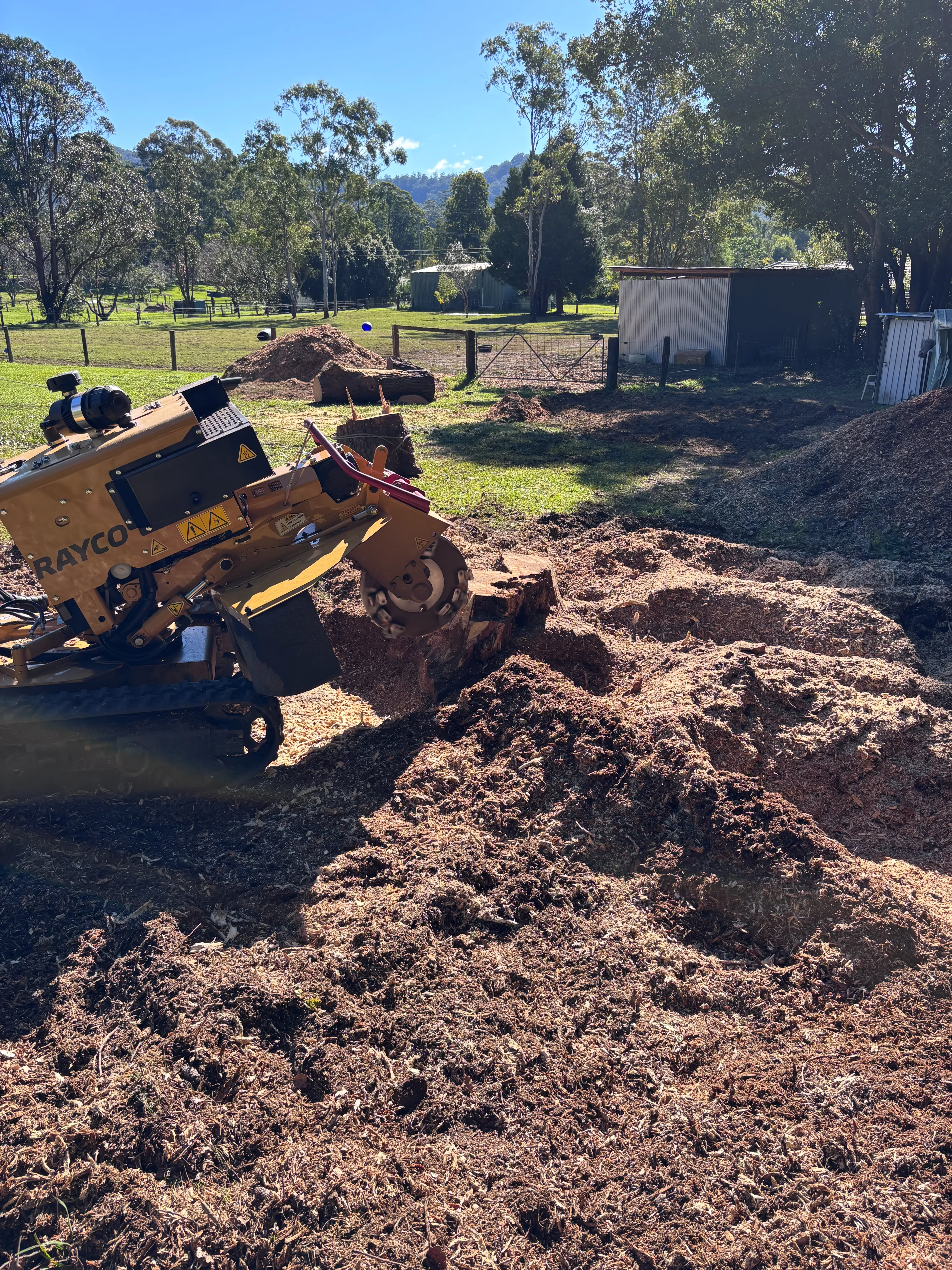 Stump grinder beside a large pile of wood mulch and grindings