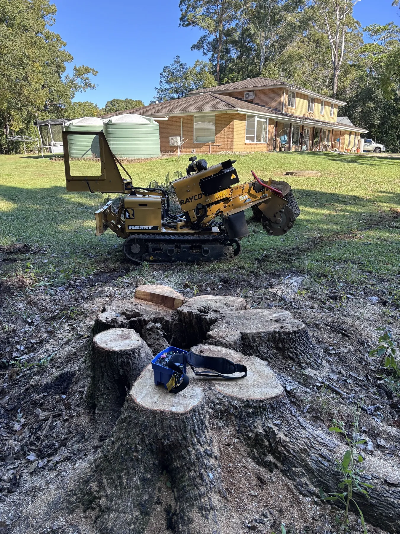 Stump grinder beside a cluster of freshly cut stumps in the yard of a two-storey home